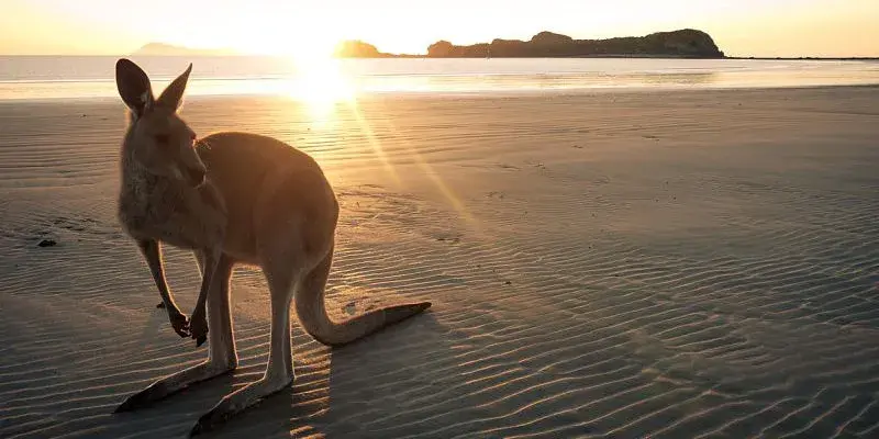 historia de australia